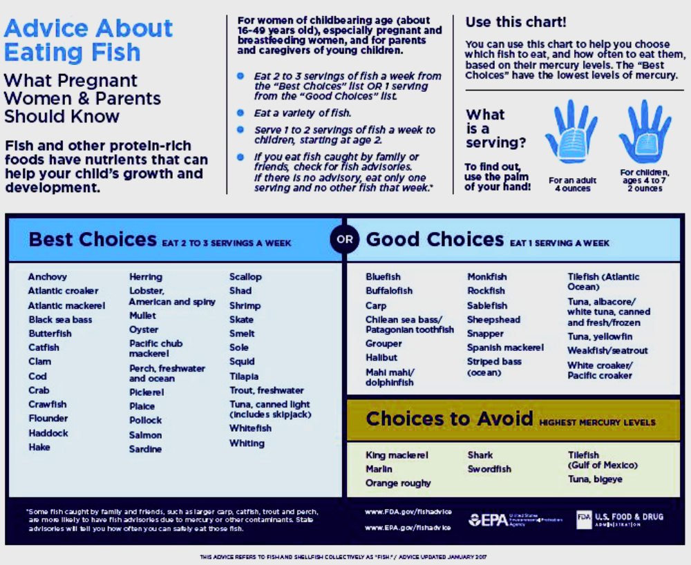 Is fish a good food for babies?