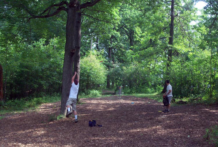 Skulboy Designs Cleveland, Ohio Disc Golf PARMA