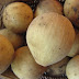 This is the impact of the product of duku which is infrequently known