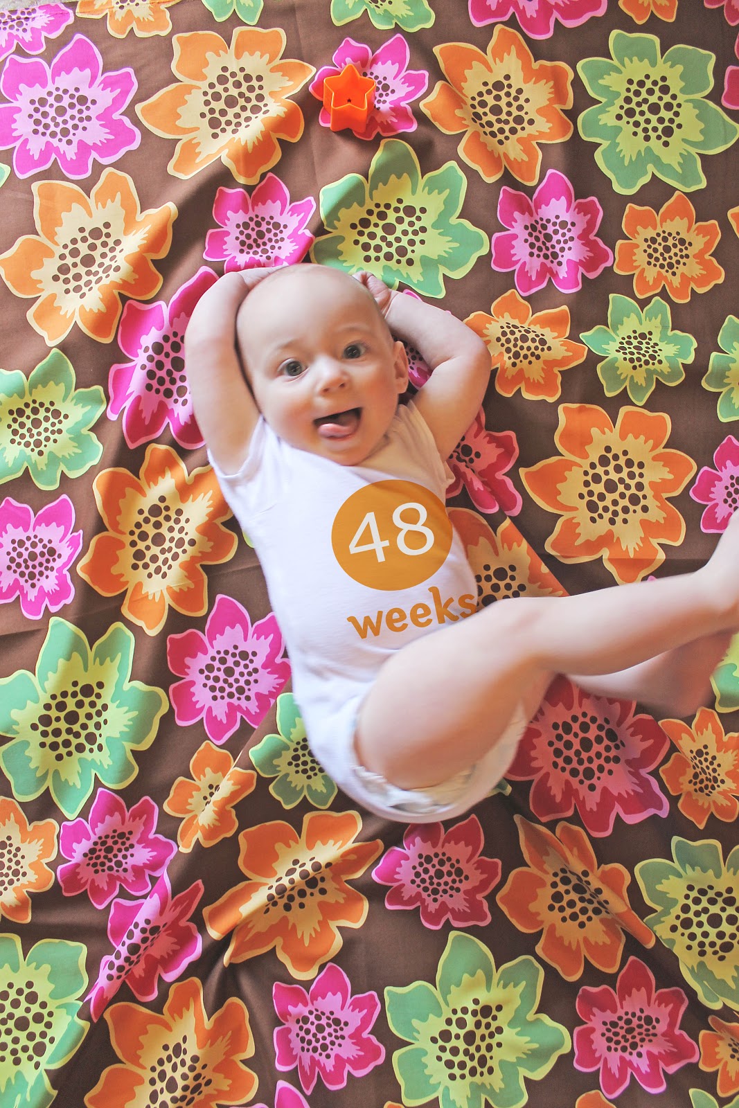 How Long Is 48 Weeks