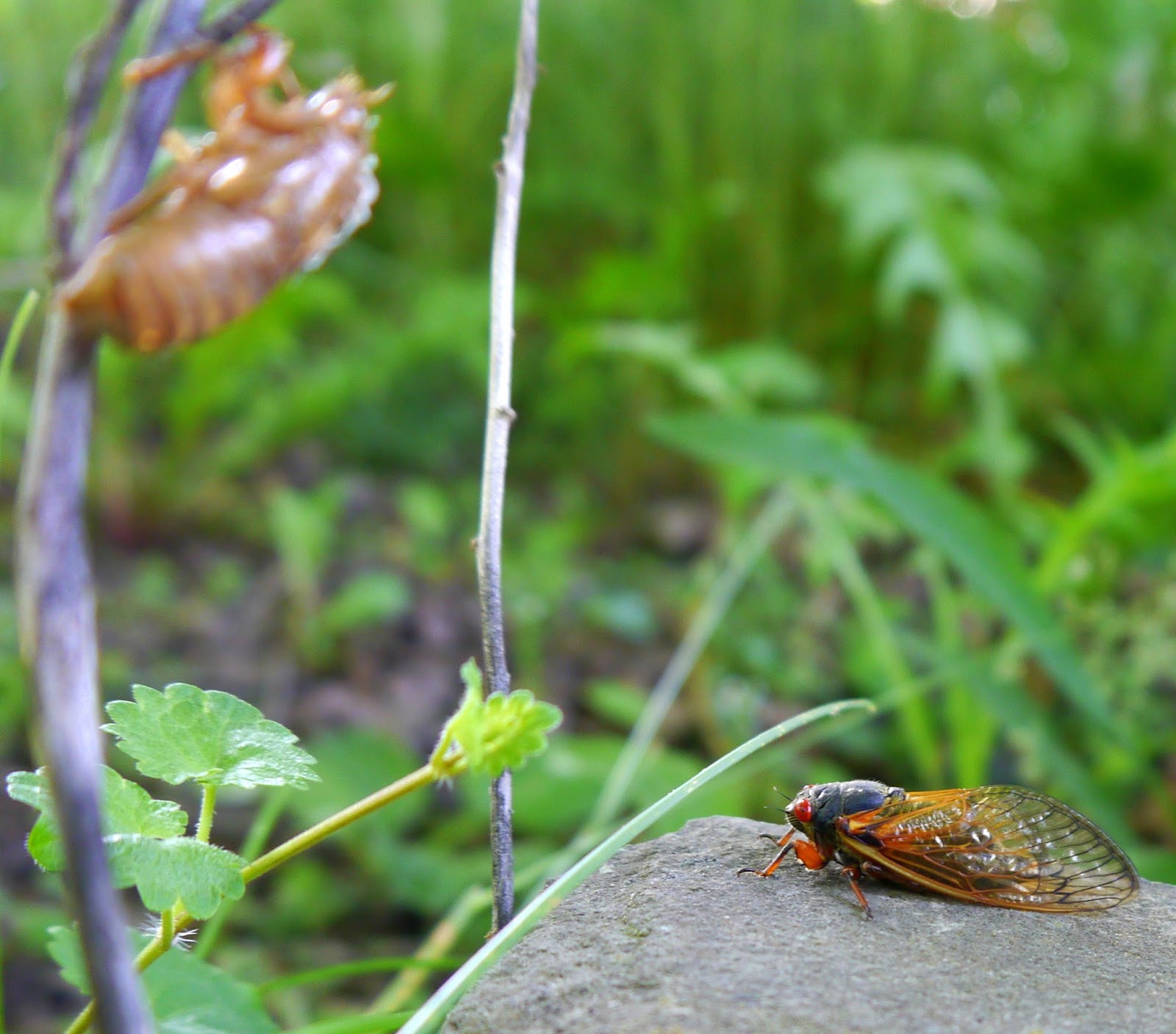 UHoller 17 Years And Hello Again
