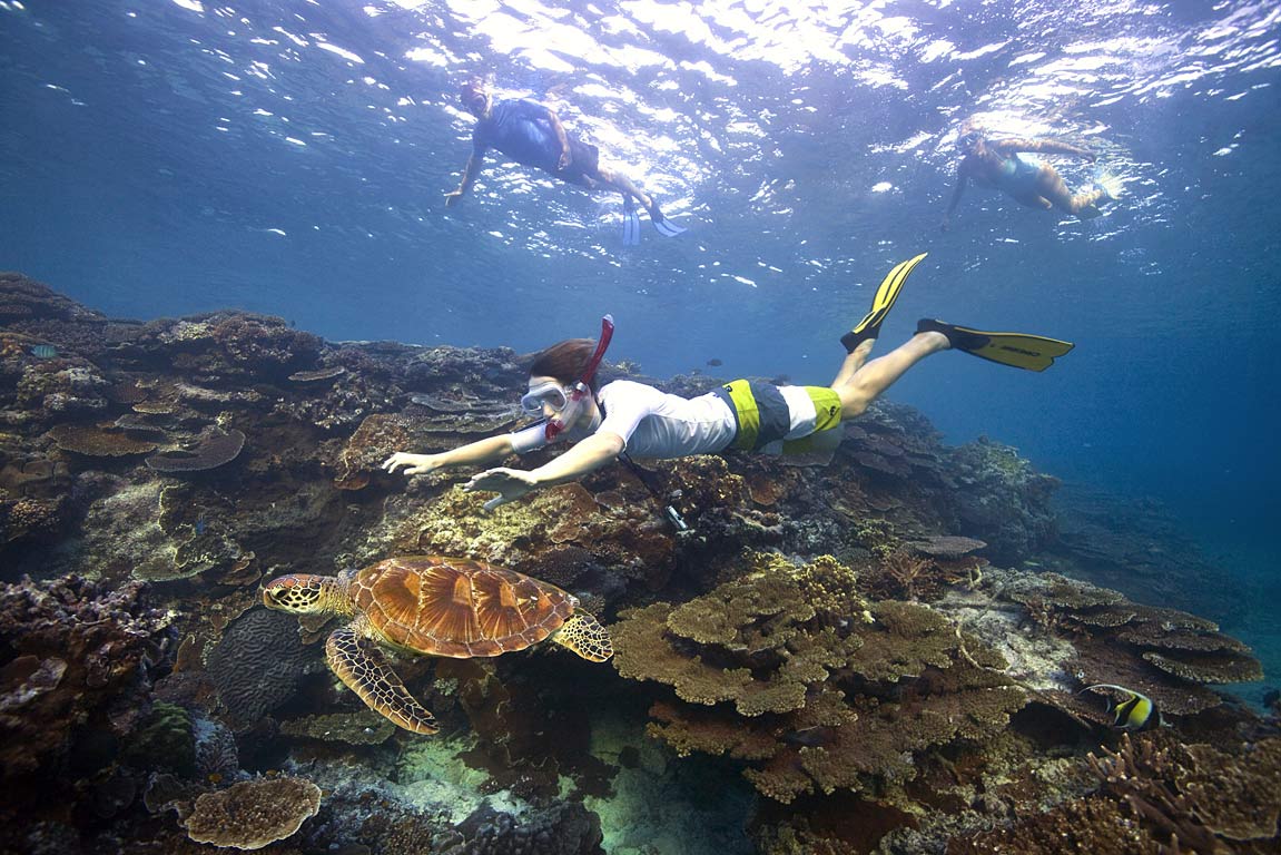 World Vacation Place The Great Barrier Reef, Swim between the row of