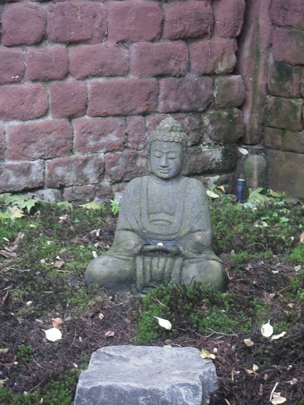 Culinary Adventures in Europe: Japanese Garden/Kaiserslautern