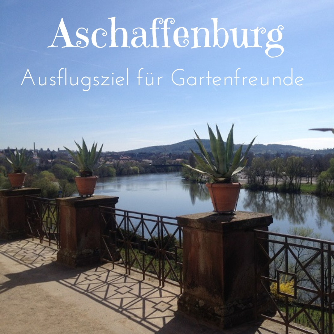 Bad Cannstatt Veranstaltungskalender