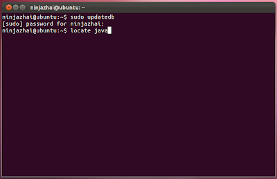 Verify if Java was Installed in Ubuntu 11.10 