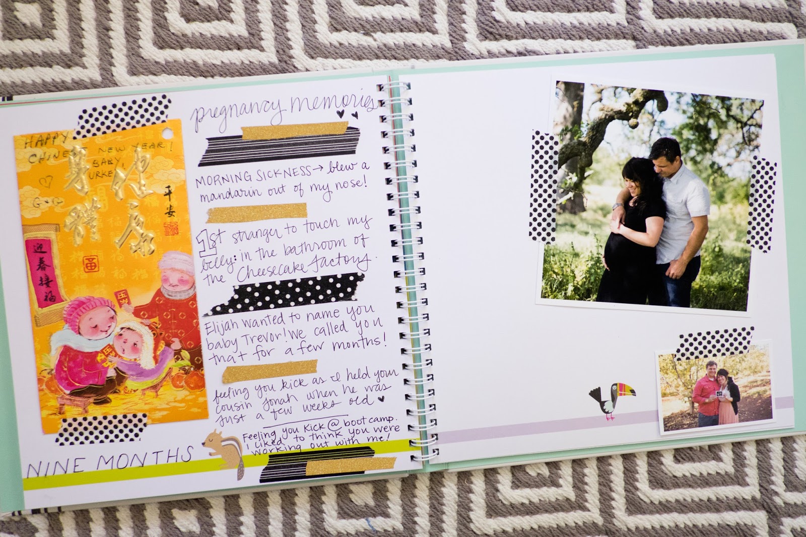 Domestic Fashionista Baby's First Year A Baby Book