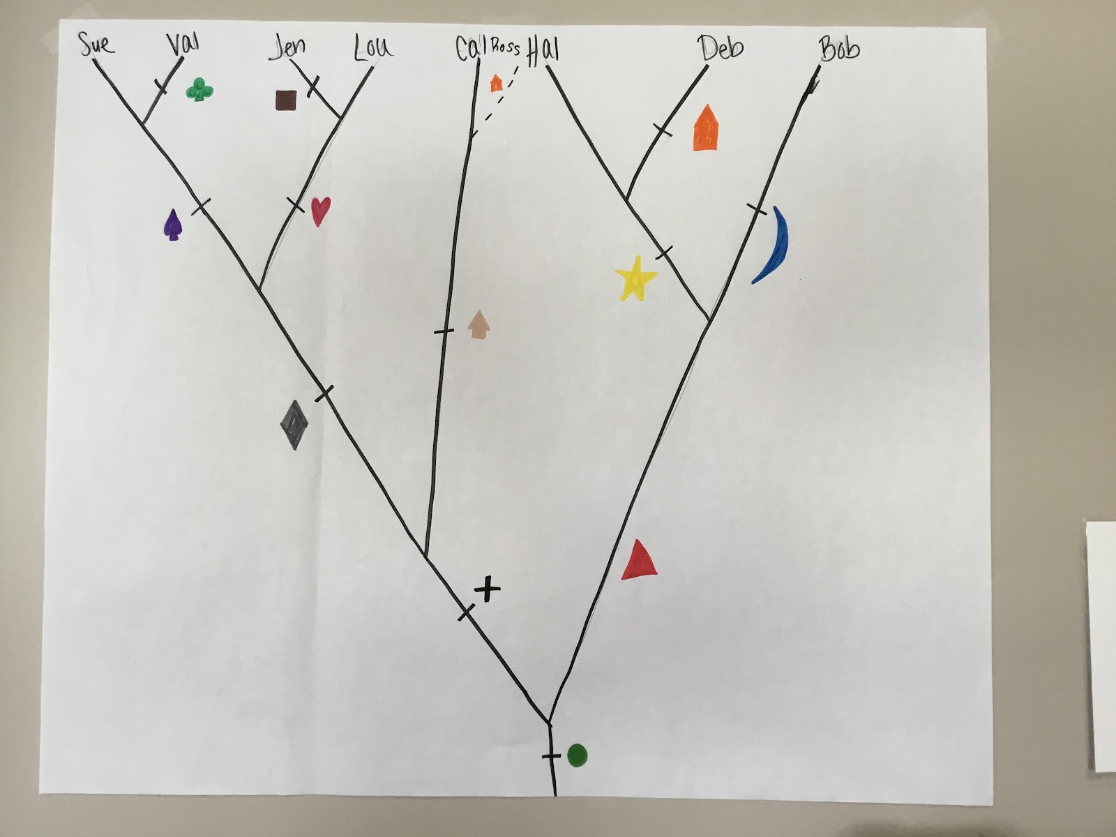 Biology by the Math Mom: The Great Clade Race