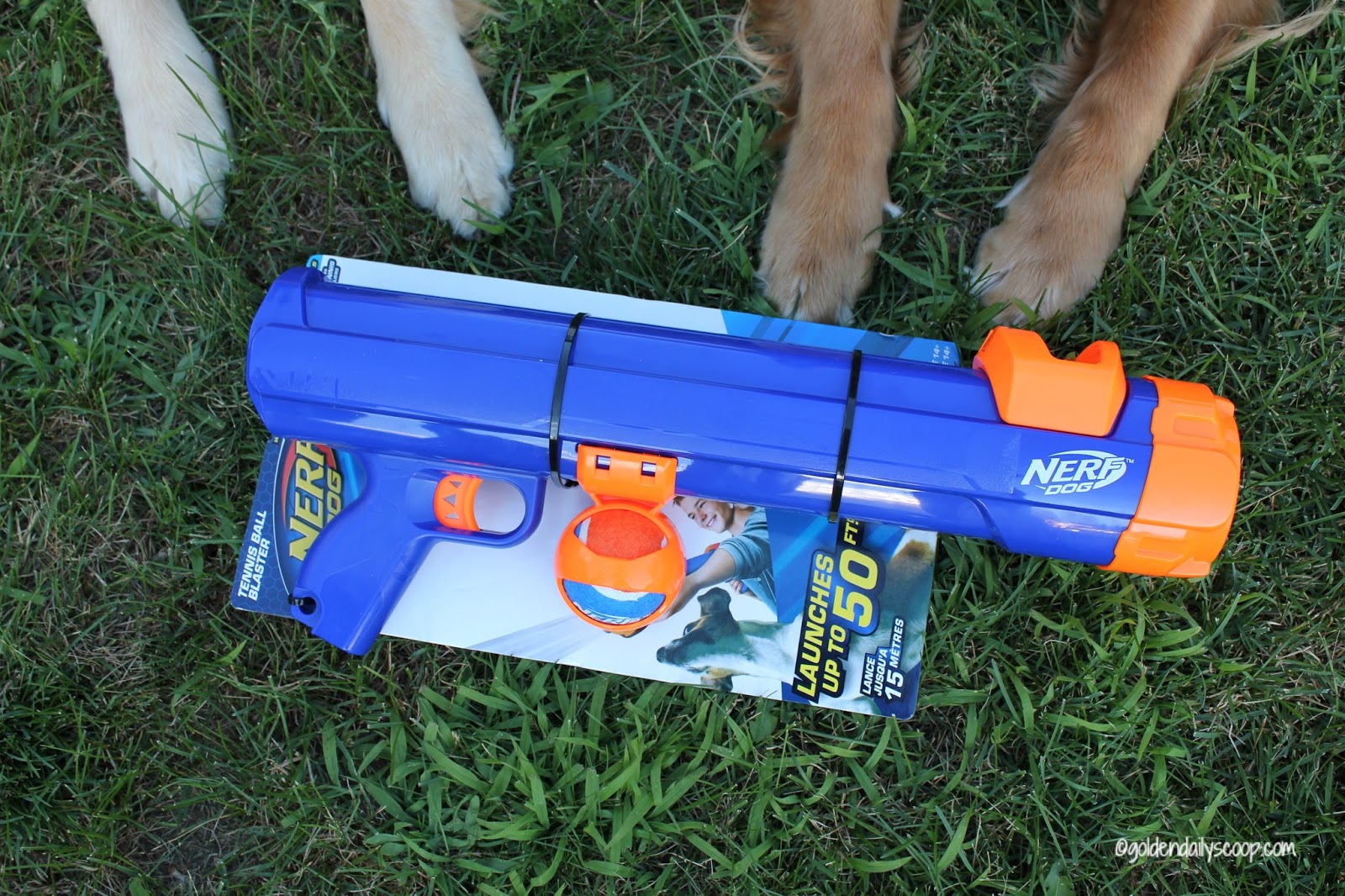 Nerf Dog Tennis Ball Blaster Dog Toy ChewyInfluencer