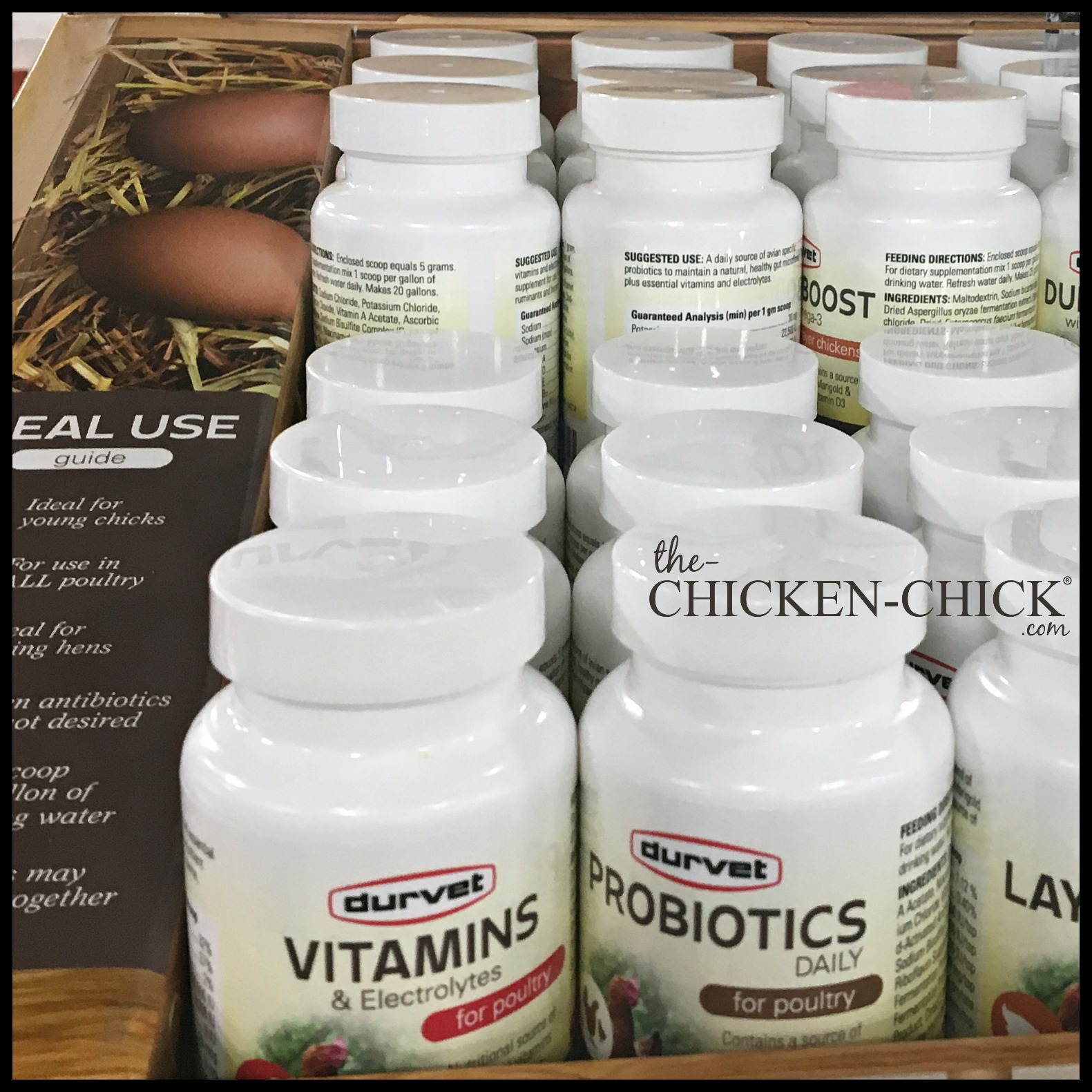 The Chicken Chick® Probiotics, A Natural Choice for Healthy Chickens