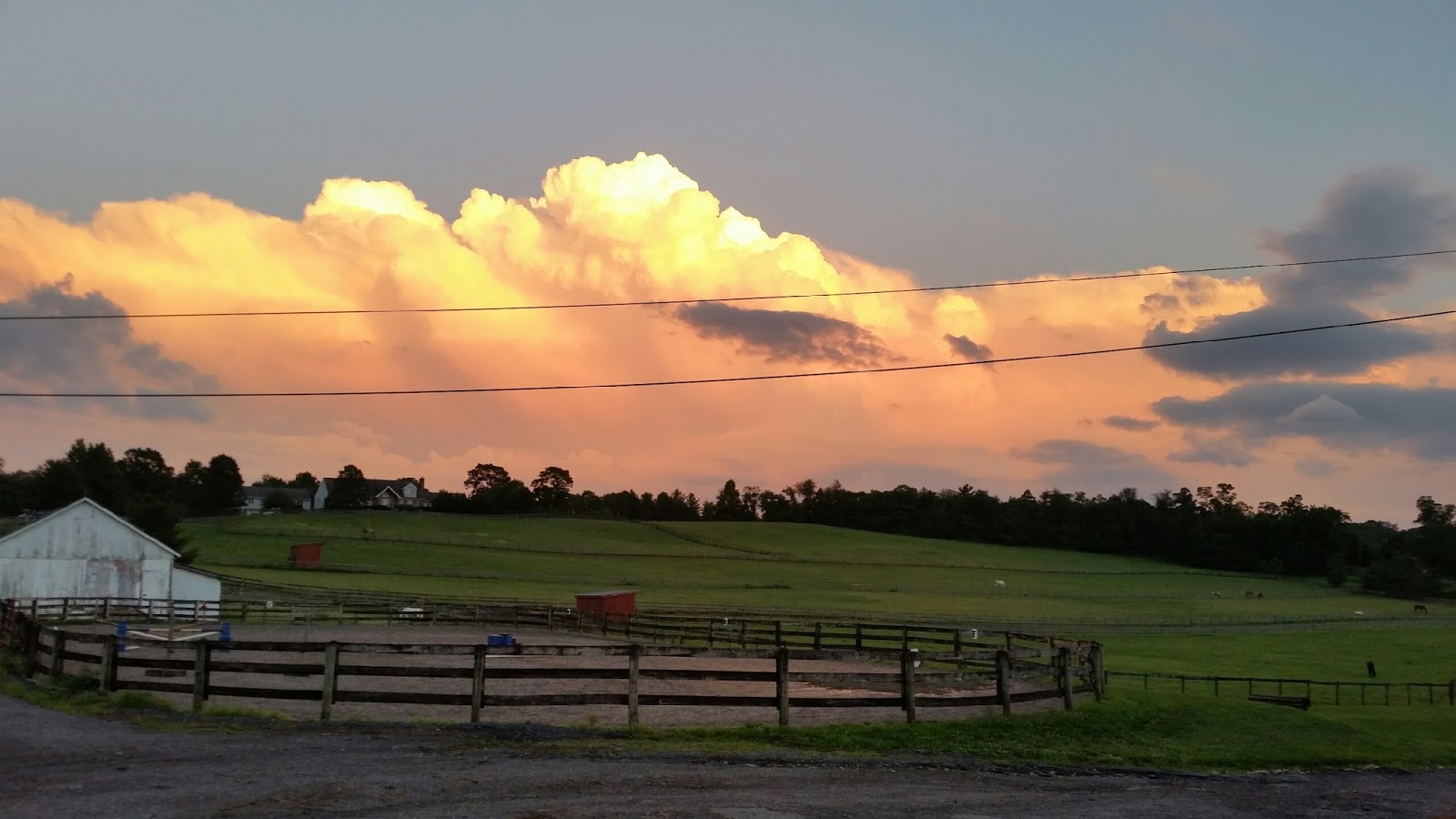 Southwind Farm, Inc. A Premier Horse Boarding Facility located in