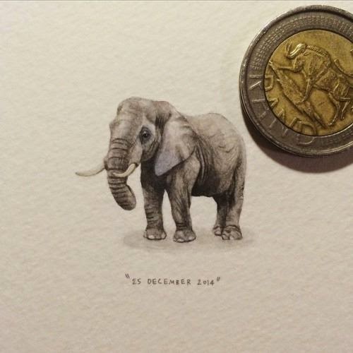 10-African-Elephant-Lorraine-Loots-Miniature-Paintings-Commemorating-Special-Occasions-www-designstack-co