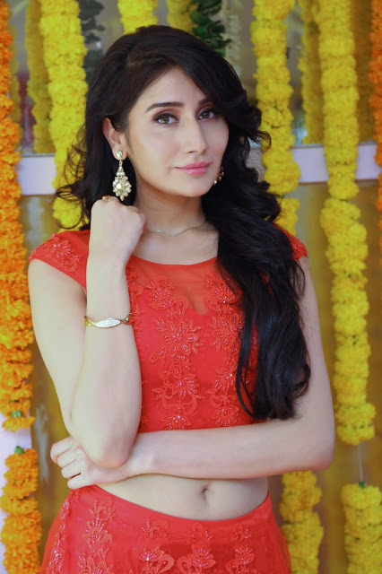 Spicy Actress Image Monica Sharma Latest Hot Pics Showing