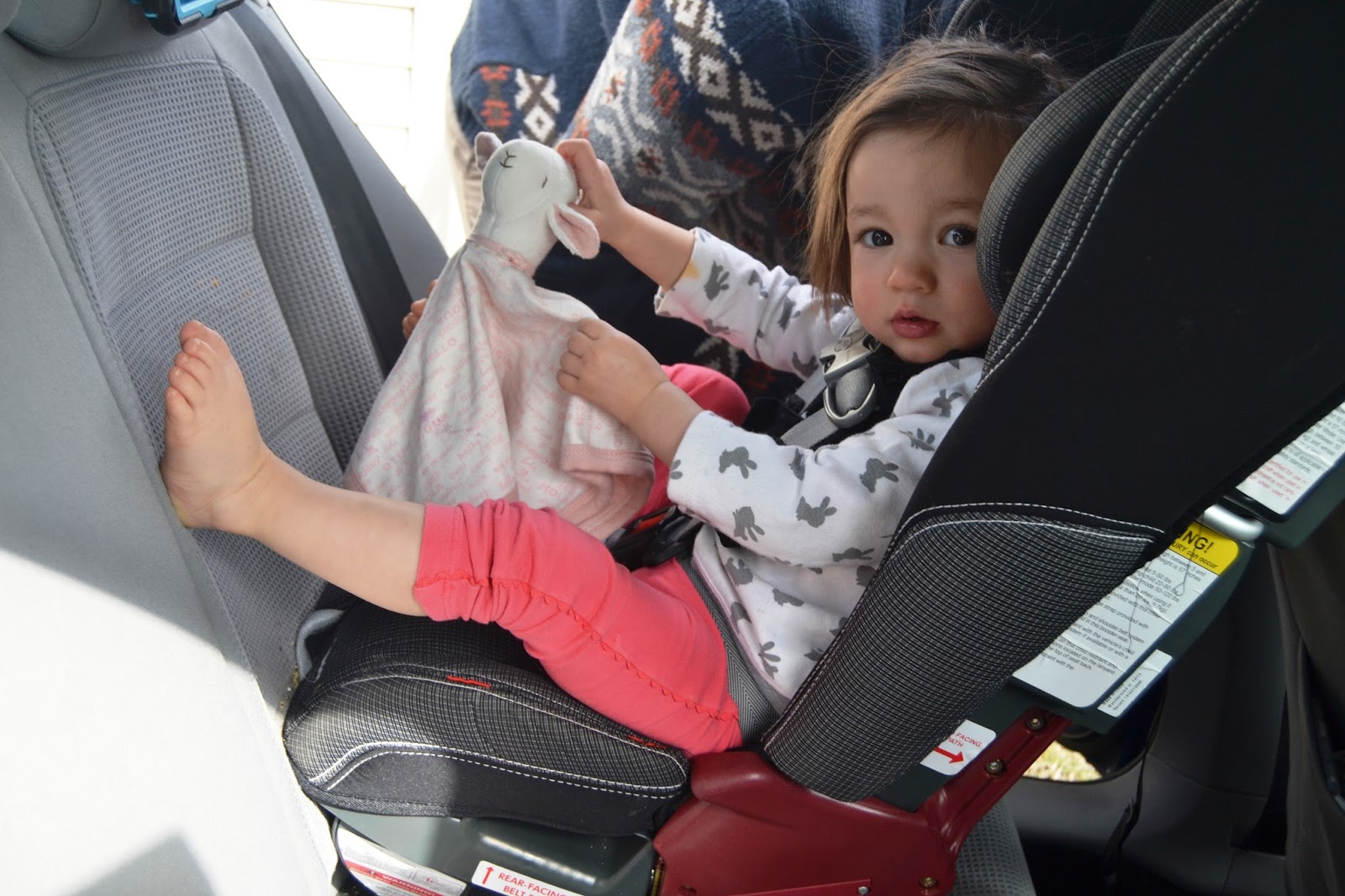 6 Tips for Traveling With A Toddler The Nutritionist Reviews