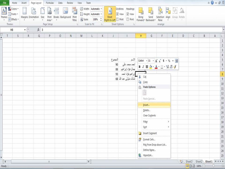 الدرس الخامس (إدراج صفوف insert rows وأعمدة insert columns وتنسيق