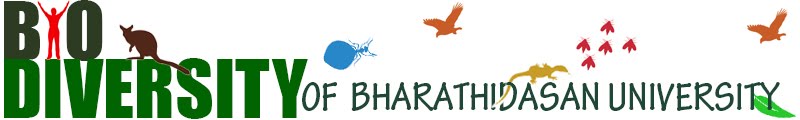 Biodiversity of Bharathidasan University