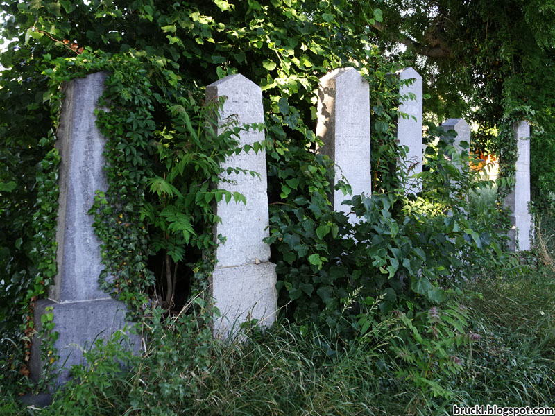 Sammelsurium Mai 2017