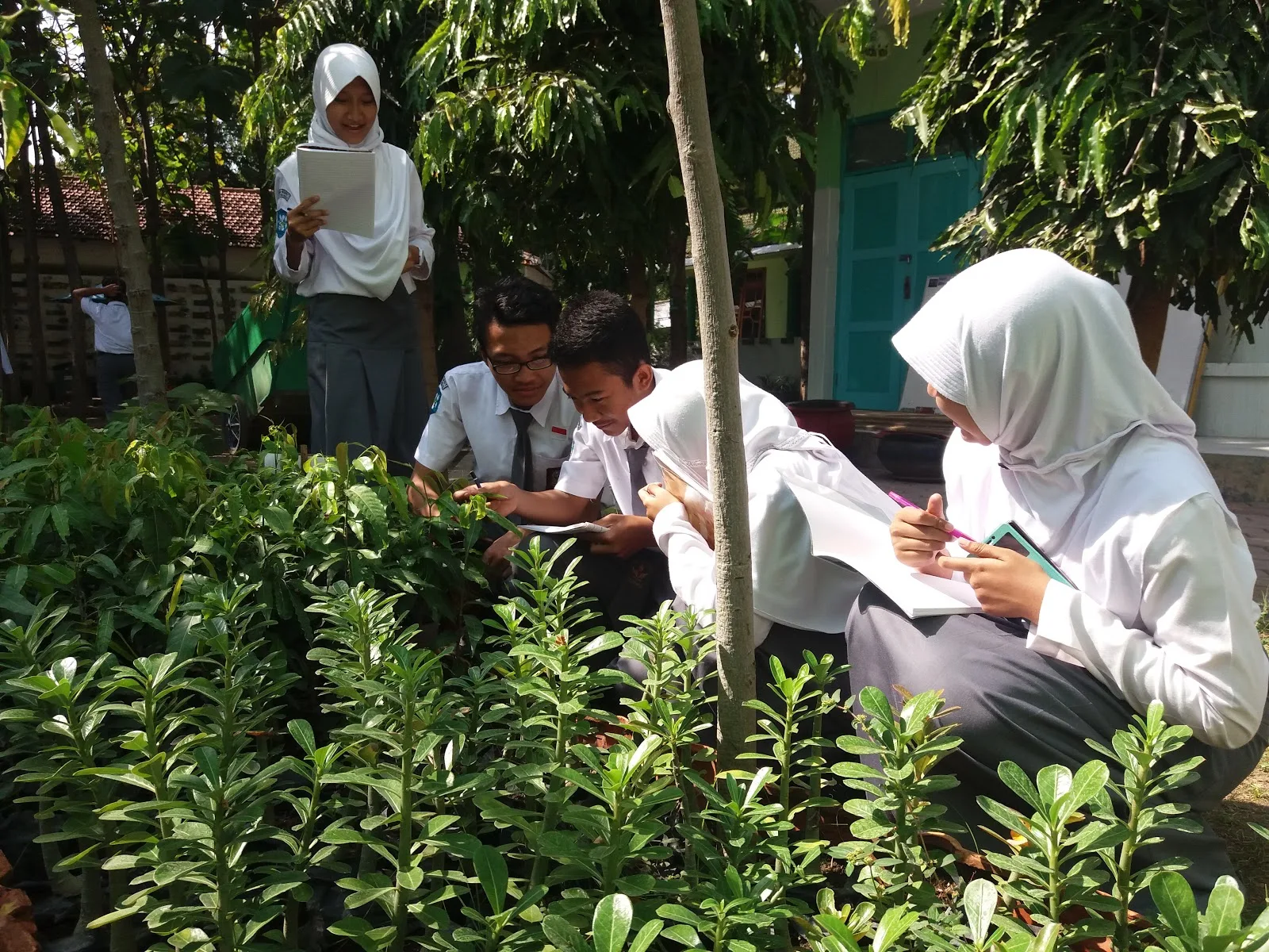 LKS Keanekaragaman Hayati Kebun sekolah