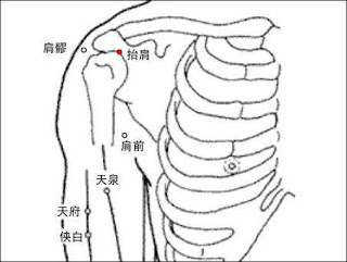 擡肩穴位 | 擡肩穴痛位置 - 穴道按摩經絡圖解 | Source:zhongyibaike.com