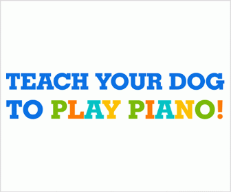 Play Piano - Training For Dogs