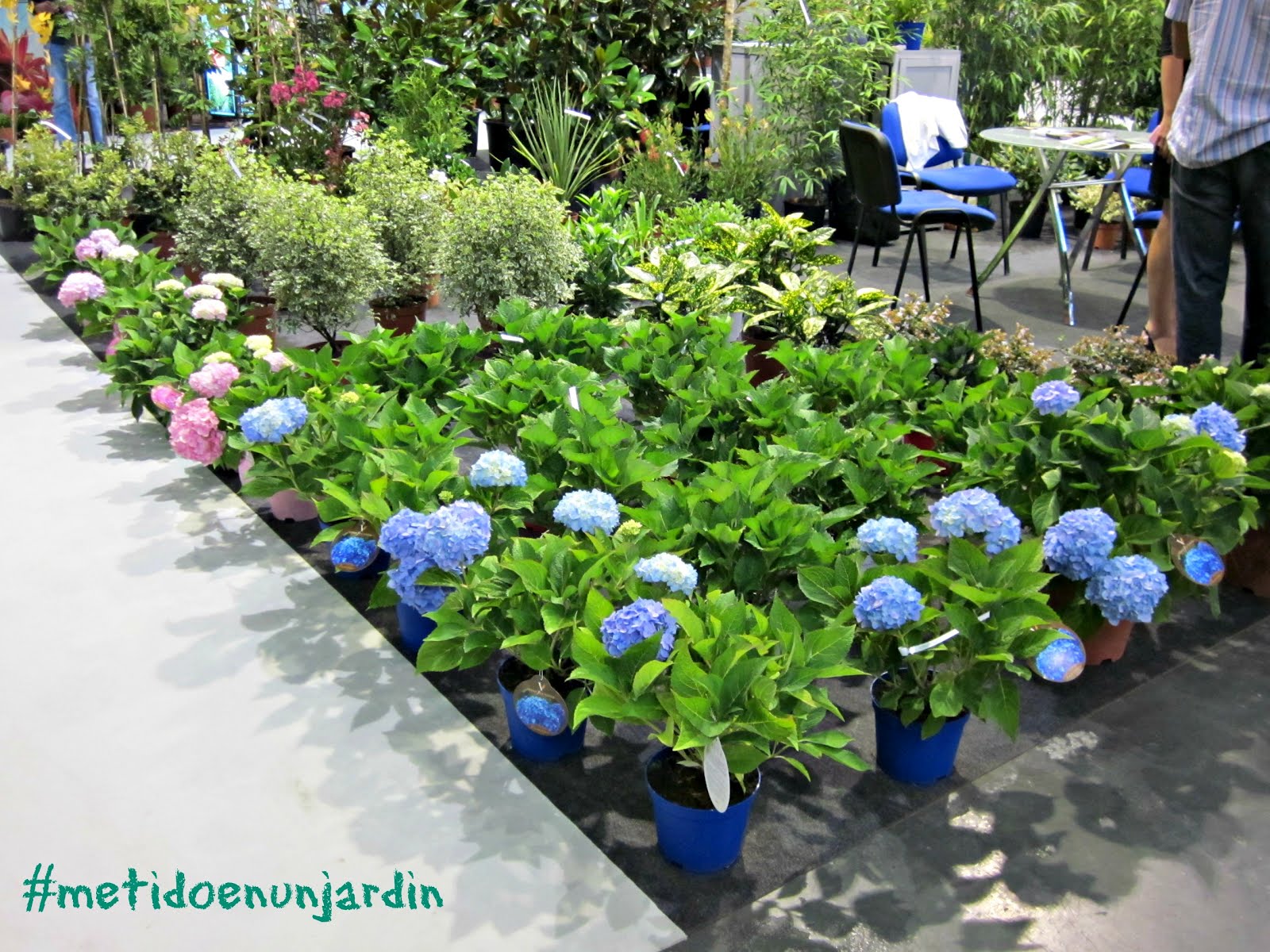 Me he metido en un jardín...: De Feria...