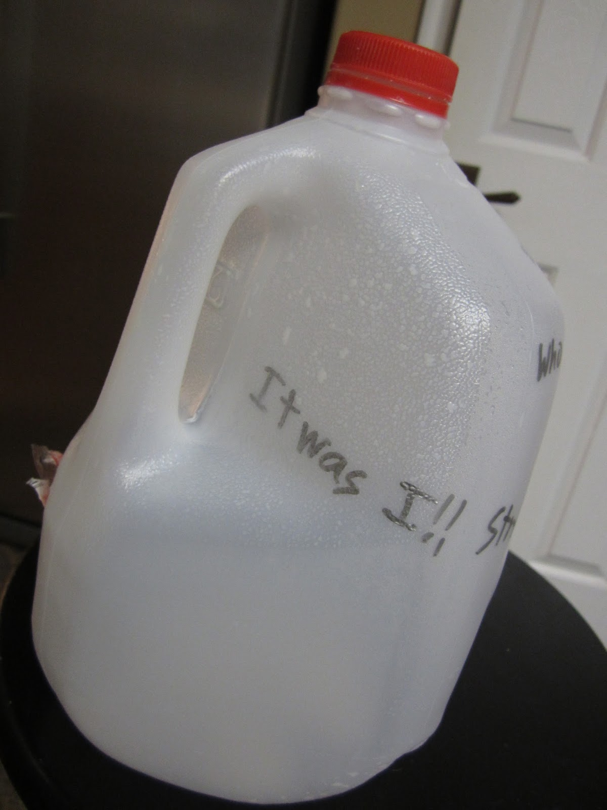 Our Life with 13 Kids * ** Empty Milk Jug