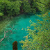 Croatie - Plitvice, la cascade sous toutes ses formes