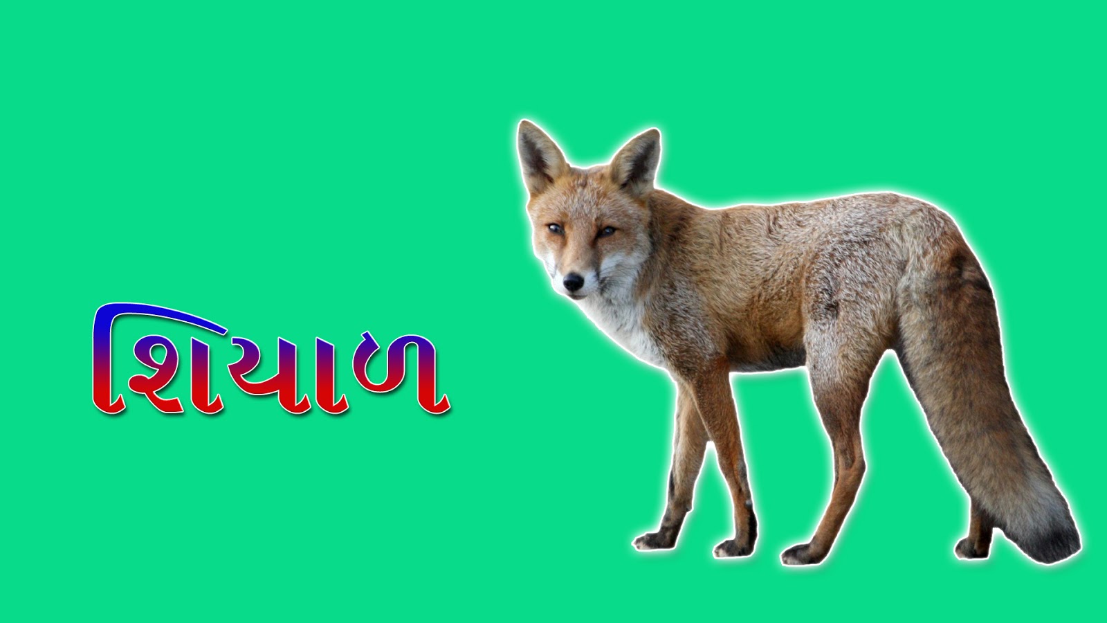 wild animals name in gujarati- गुजराती