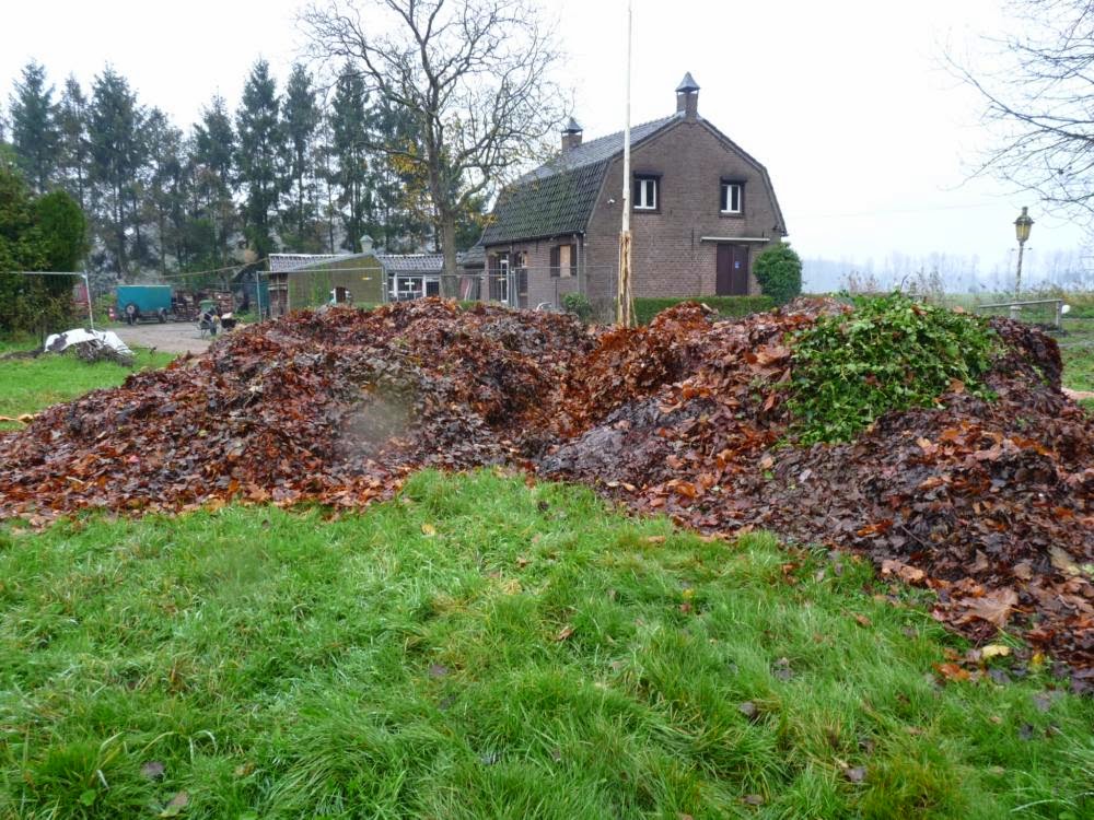 Ons nieuwe ECOhuis! De blaadjes vallen