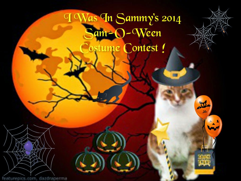 SAMMY O WEEN'S CONTEST