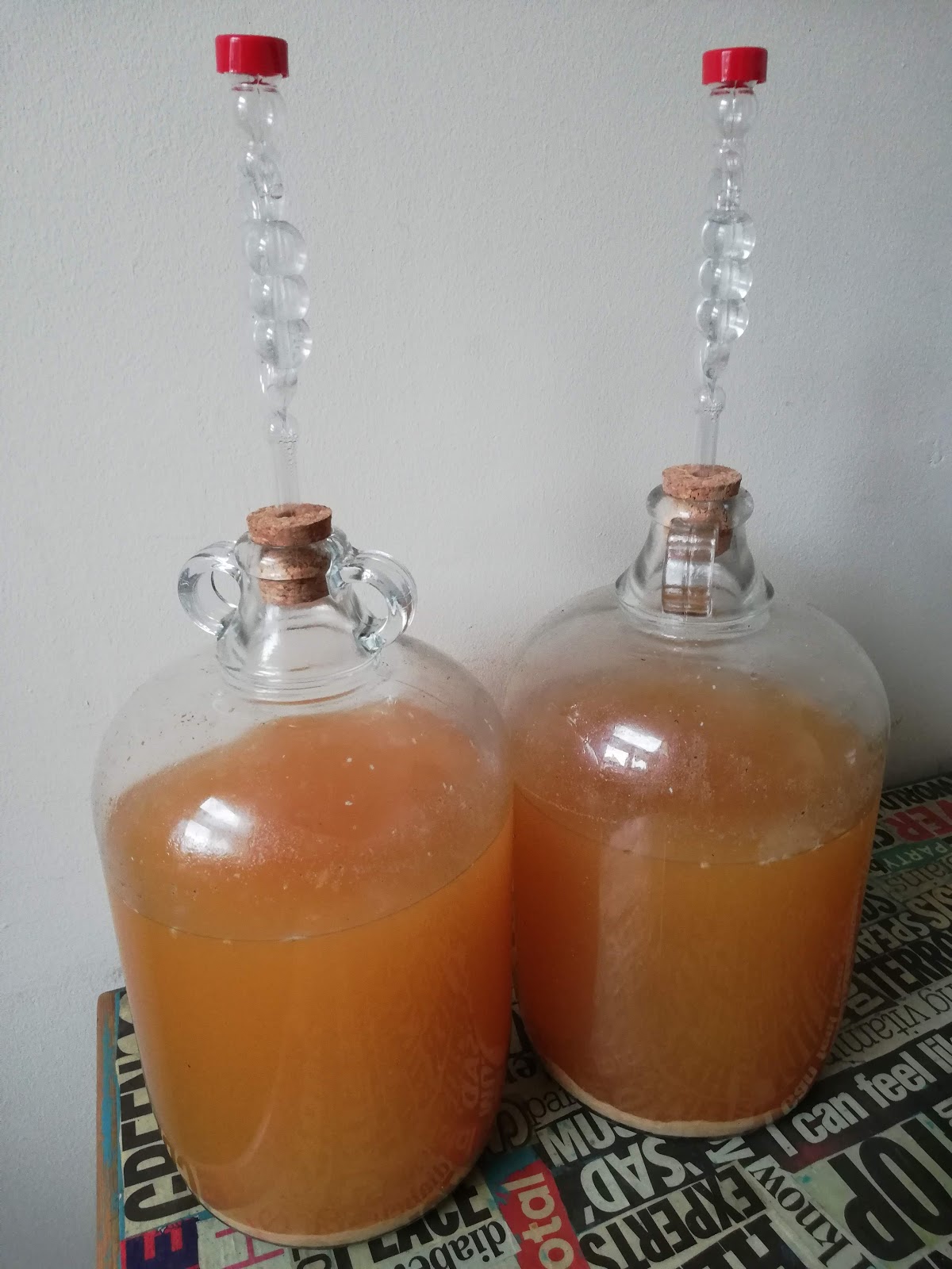 A Possible World Apple Wine Making Progress