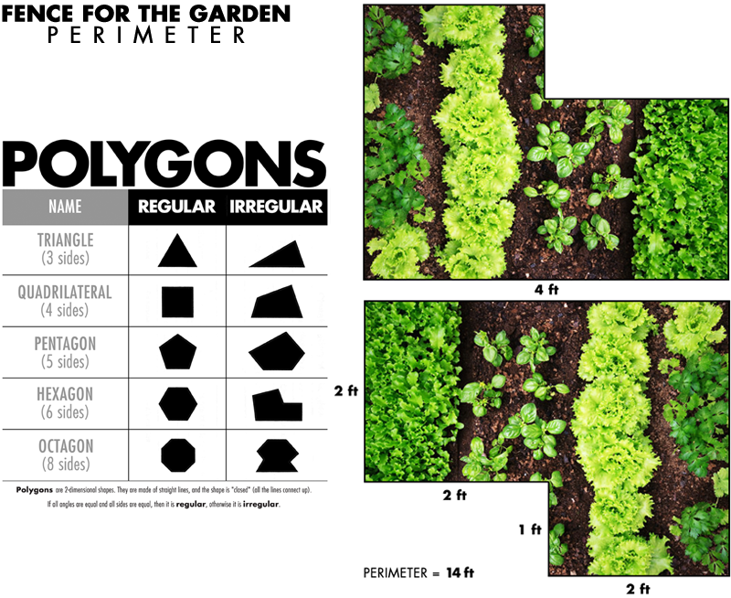 E is for Explore!: The Case of the Missing Sides!