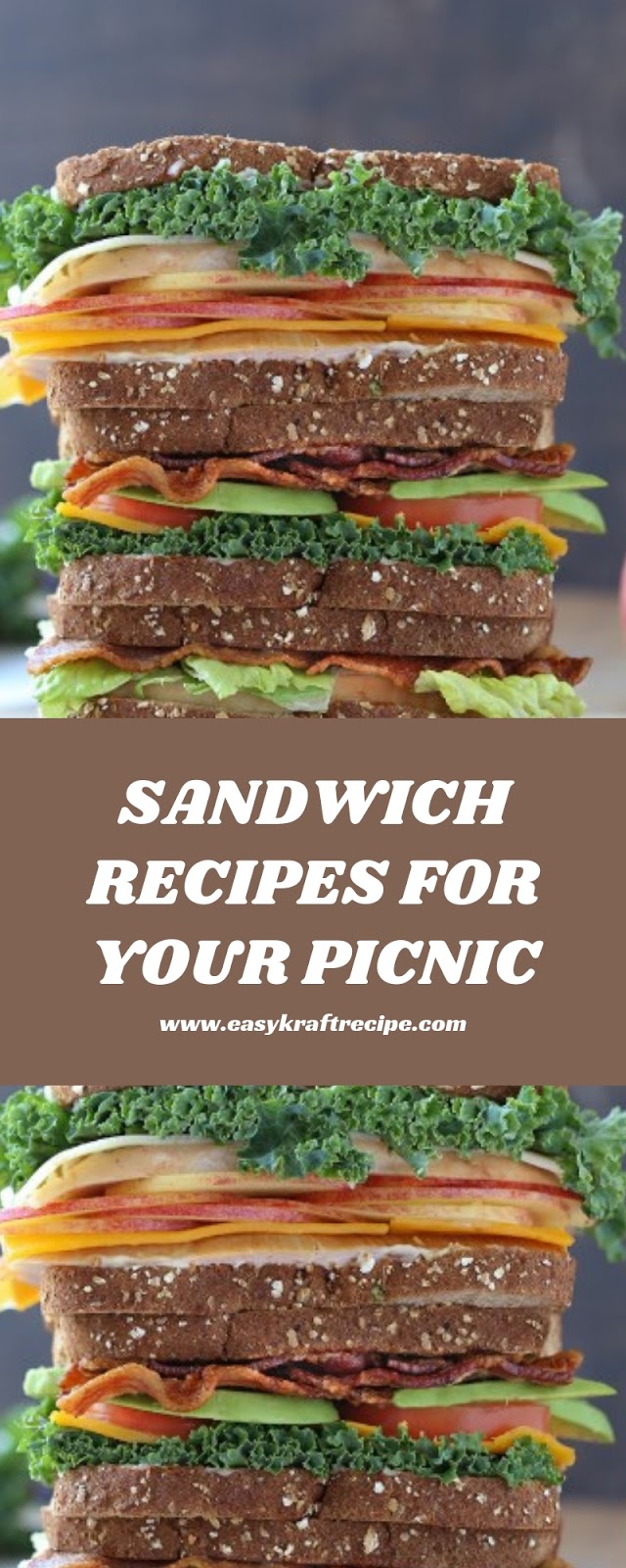 SANDWICH RECIPES FOR YOUR PICNIC