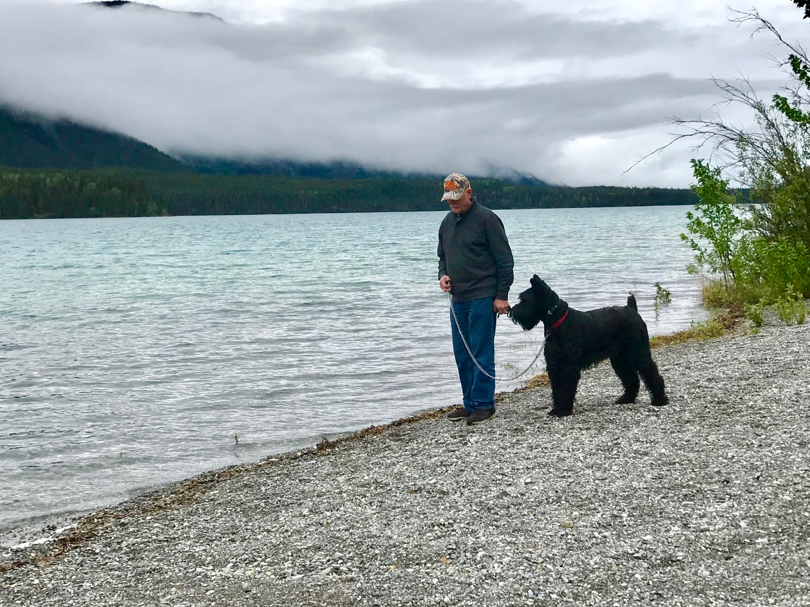 On The Meandering Road June 11, 2017 Fort Nelson, BC to Muncho Lake, BC