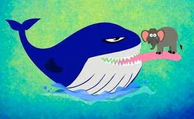 mavi balina dili