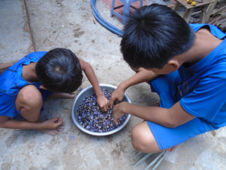 He ve - nho to canh hen rau tap tang thuo au tho - Anh 4