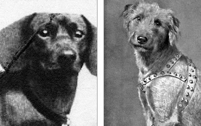 perros nazis que podían hablar