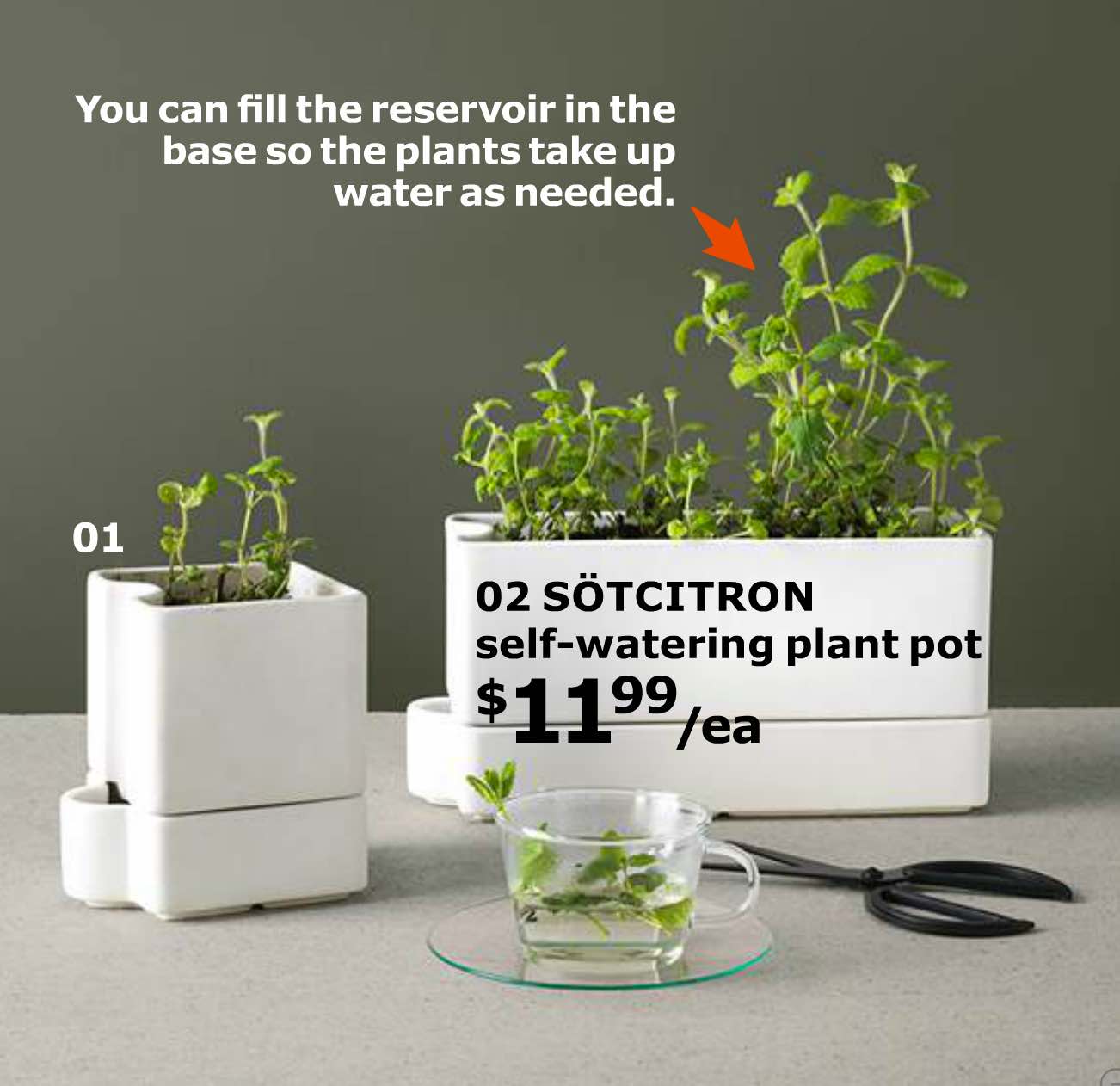 Sotcitron self watering plant pot