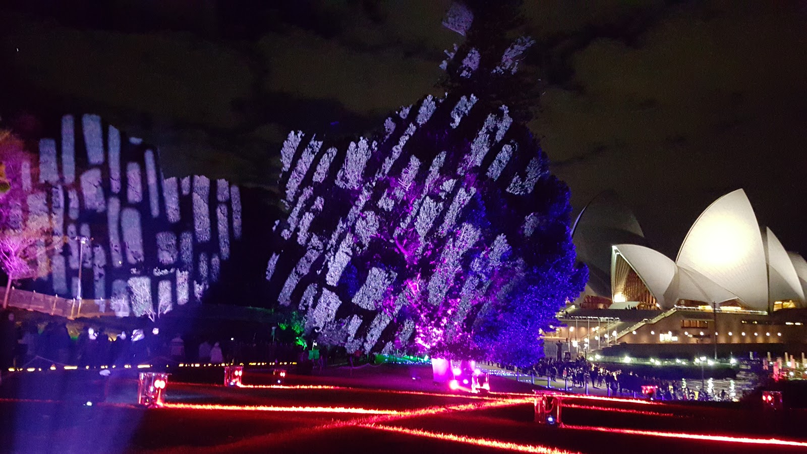 Sydney City and Suburbs Botanic Gardens, Vivid Sydney