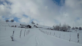 Frío extremo: 17 grados bajo cero en comuna de La Araucanía