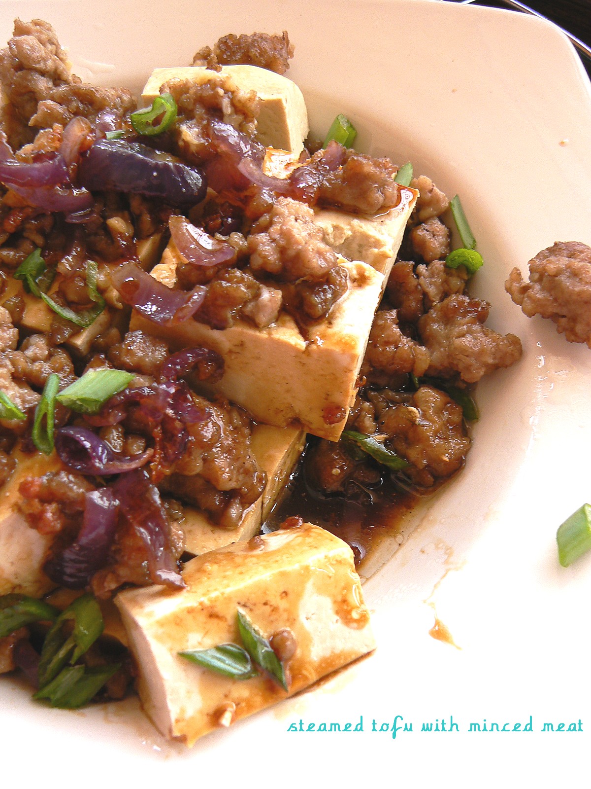 Cooking in Hungary Steamed bean curd (tofu) with minced meat