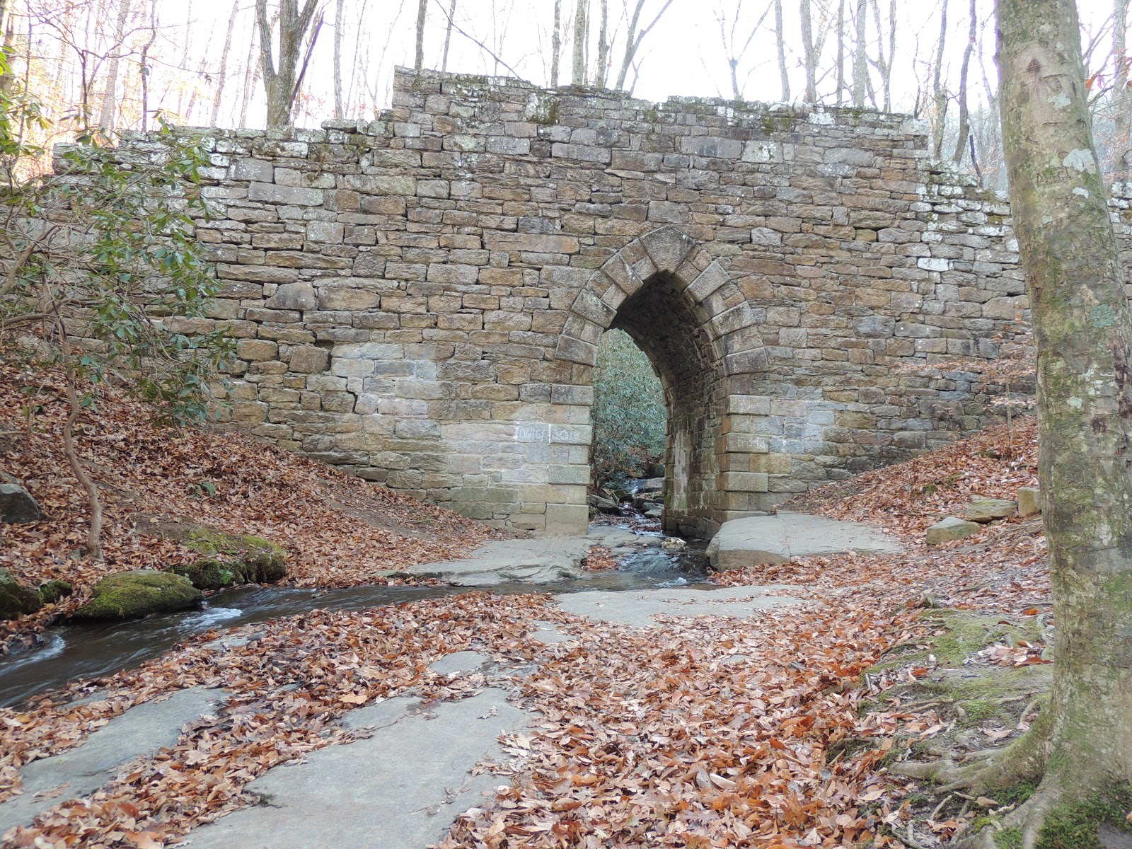 1000 Hikes in 1000 Days Day 745 Poinsette Bridge Heritage Preserve Old Indian Scout