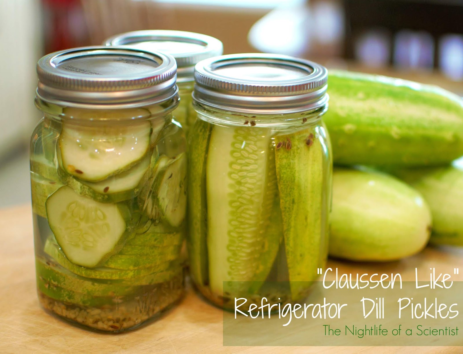 The Night Life of a Scientist Quick Refrigerator Dill Pickles