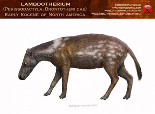 Lambdotherium