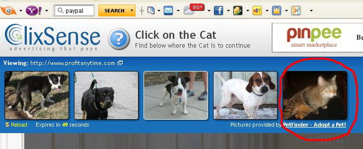 Языки программирования таблица сравнение. Приват ранг. Dignitas cs go. Мрачный мясник criminal case. Find below.