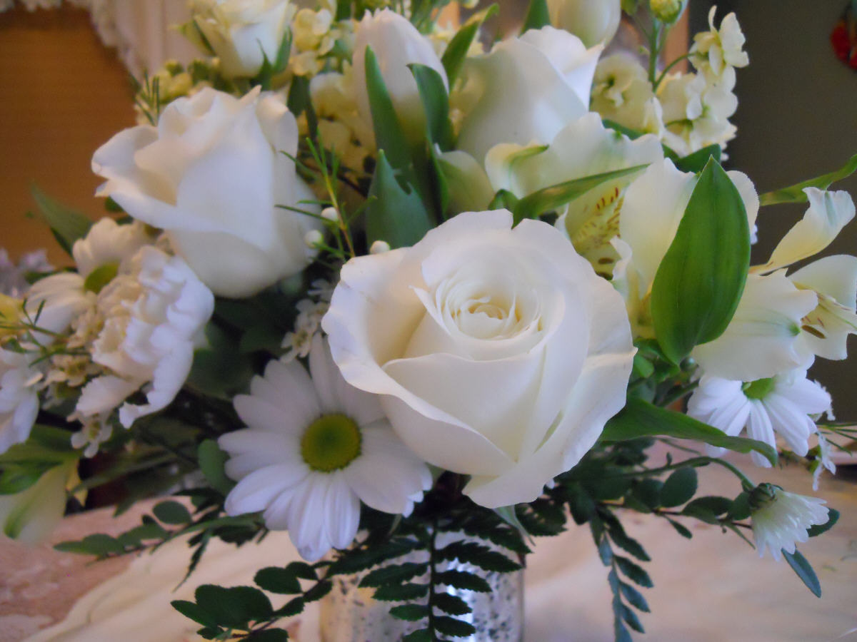 House of Houben 30th anniversary...