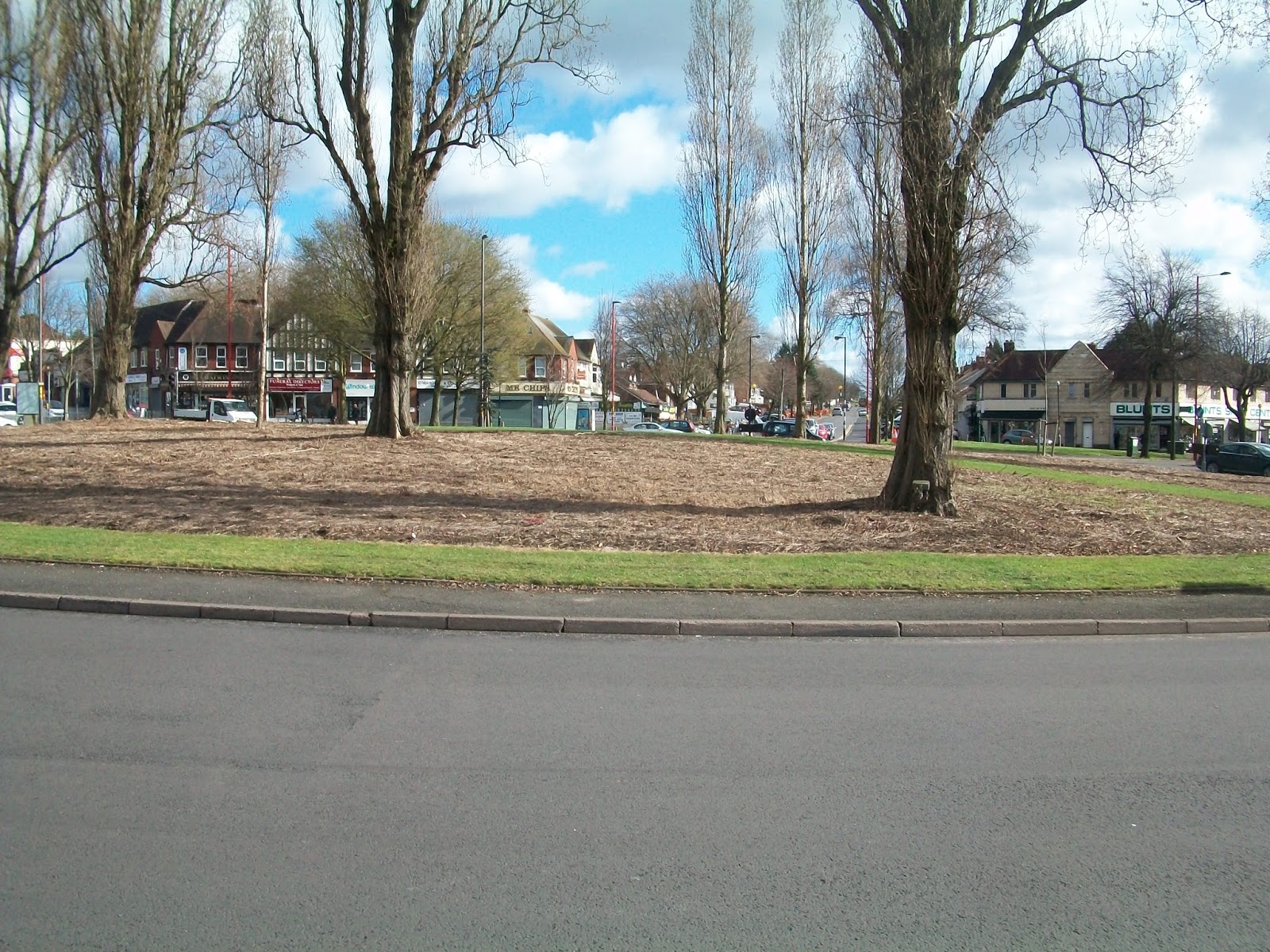 Keith Linnecor News & Views from Oscott Ward ISLAND AT KINGSTANDING