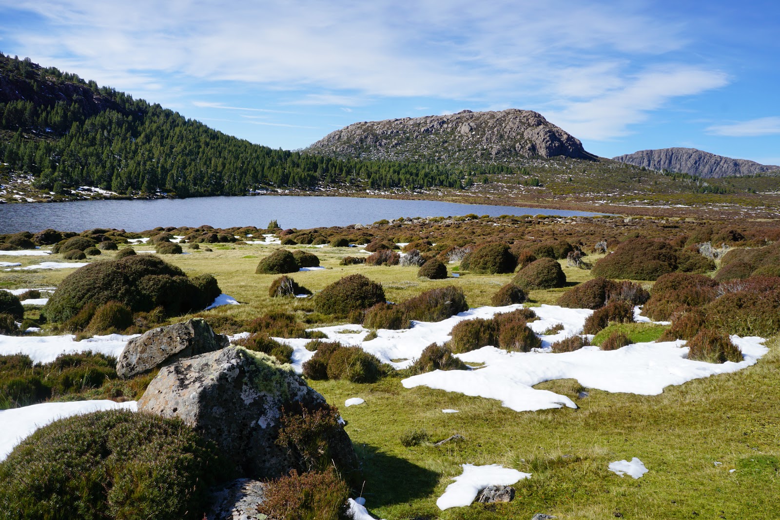 Walls of Jerusalem Circuit (TAS) The Long Way's Better