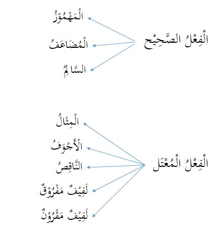 Pembagian Fi Il Dalam Bahasa Arab Lengkap Beserta Contohnya