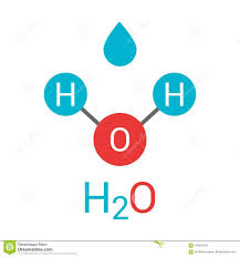 Molécula del agua