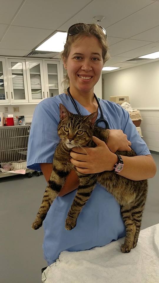 veterinary school